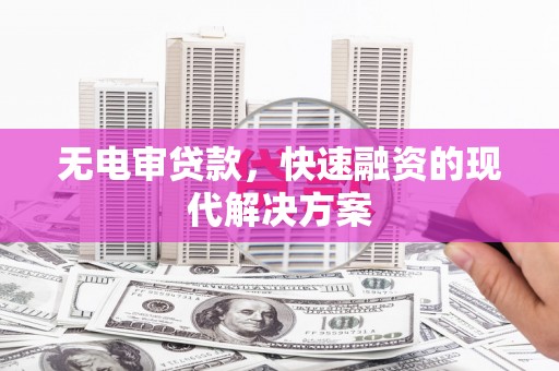 乐东无电审贷款，快速融资的现代解决方案