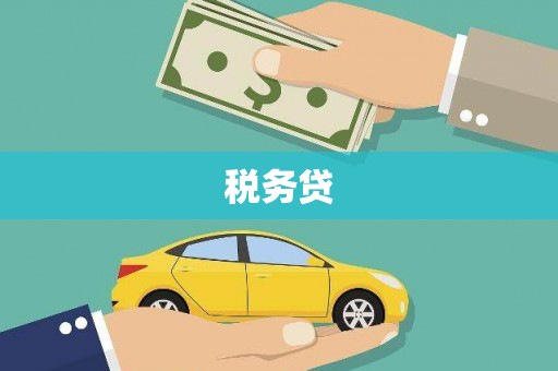 乐东税务贷