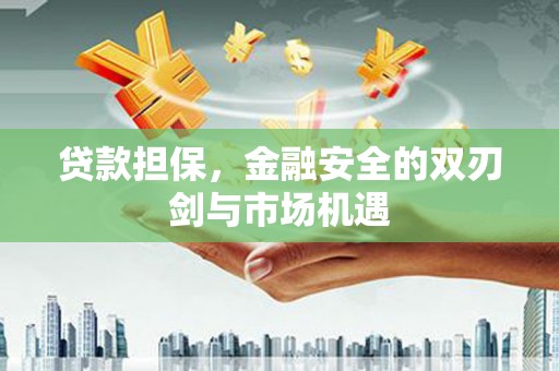 乐东贷款担保，金融安全的双刃剑与市场机遇