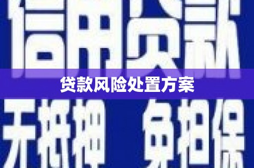 乐东贷款风险处置方案