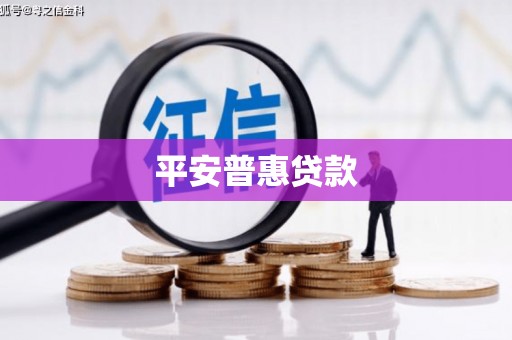 乐东平安普惠贷款