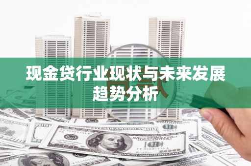 乐东现金贷行业现状与未来发展趋势分析