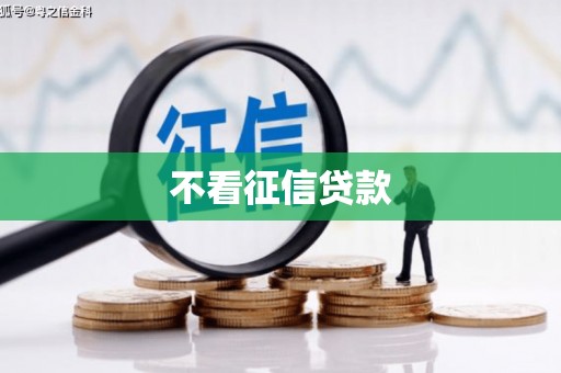 乐东不看征信贷款