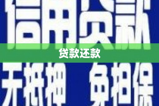乐东贷款还款