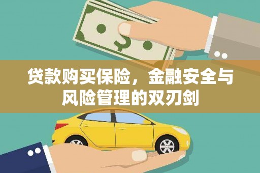 乐东贷款购买保险，金融安全与风险管理的双刃剑