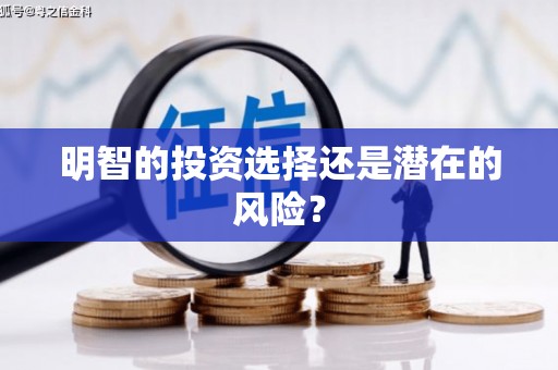 乐东明智的投资选择还是潜在的风险？