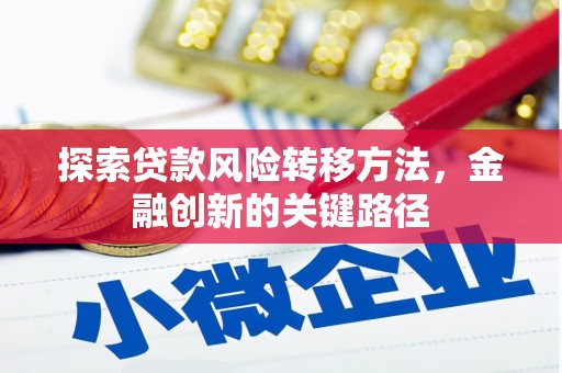 乐东探索贷款风险转移方法，金融创新的关键路径
