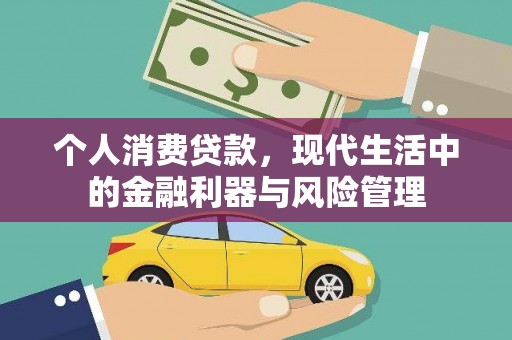 乐东个人消费贷款，现代生活中的金融利器与风险管理