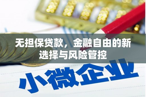 乐东无担保贷款，金融自由的新选择与风险管控