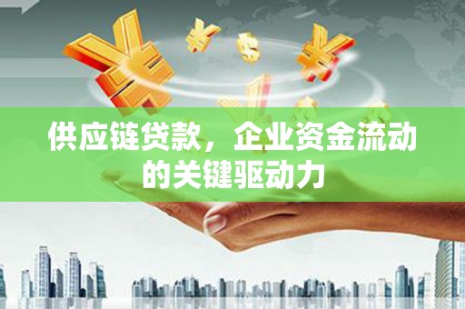 乐东供应链贷款，企业资金流动的关键驱动力