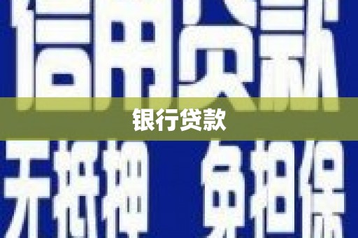 乐东银行贷款