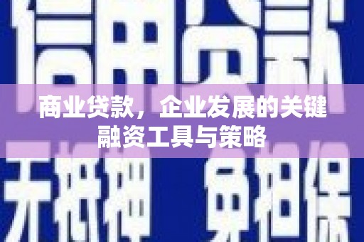 乐东商业贷款，企业发展的关键融资工具与策略