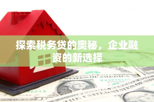 乐东探索税务贷的奥秘，企业融资的新选择