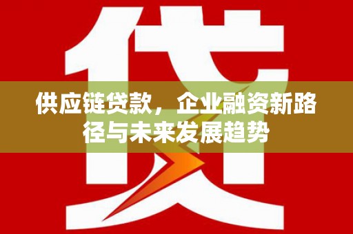 乐东供应链贷款，企业融资新路径与未来发展趋势
