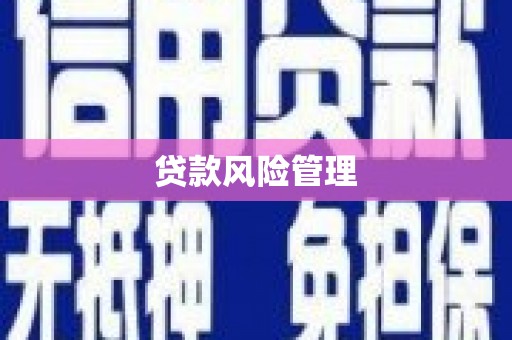 乐东贷款风险管理