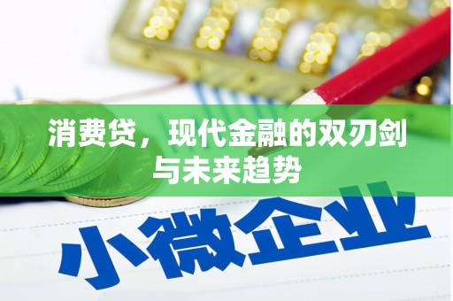 乐东消费贷，现代金融的双刃剑与未来趋势