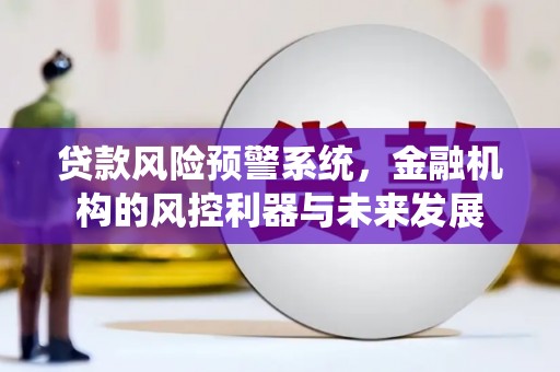 乐东贷款风险预警系统，金融机构的风控利器与未来发展
