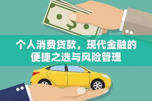 乐东个人消费贷款，现代金融的便捷之选与风险管理