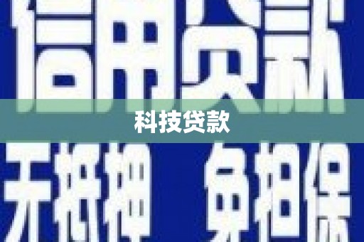 乐东科技贷款
