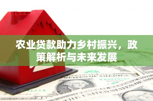 乐东农业贷款助力乡村振兴，政策解析与未来发展