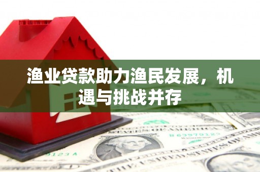 乐东渔业贷款助力渔民发展，机遇与挑战并存