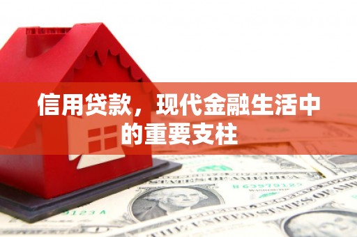 乐东信用贷款，现代金融生活中的重要支柱