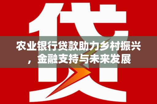 乐东农业银行贷款助力乡村振兴，金融支持与未来发展
