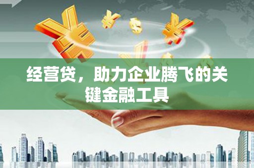 乐东经营贷，助力企业腾飞的关键金融工具