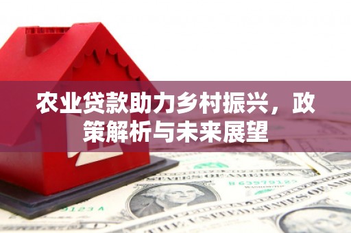 乐东农业贷款助力乡村振兴，政策解析与未来展望