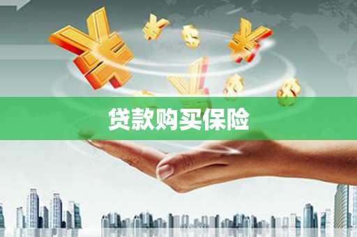 乐东贷款购买保险