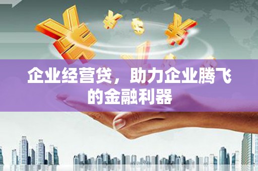 乐东企业经营贷，助力企业腾飞的金融利器