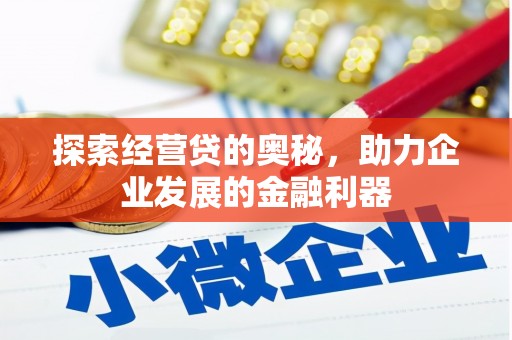 乐东探索经营贷的奥秘，助力企业发展的金融利器