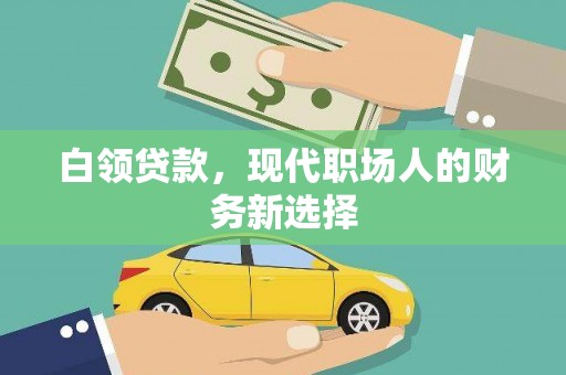乐东白领贷款，现代职场人的财务新选择