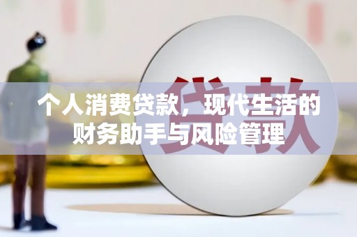 乐东个人消费贷款，现代生活的财务助手与风险管理