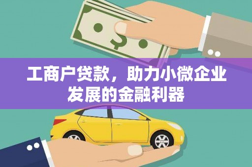 乐东工商户贷款，助力小微企业发展的金融利器