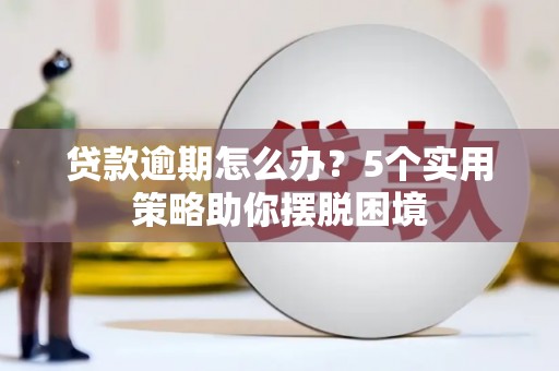 乐东贷款逾期怎么办？5个实用策略助你摆脱困境