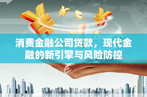 乐东消费金融公司贷款，现代金融的新引擎与风险防控