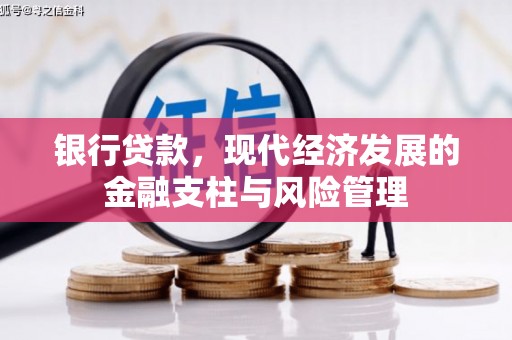 乐东银行贷款，现代经济发展的金融支柱与风险管理
