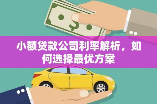 乐东小额贷款公司利率解析，如何选择最优方案