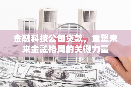 乐东金融科技公司贷款，重塑未来金融格局的关键力量