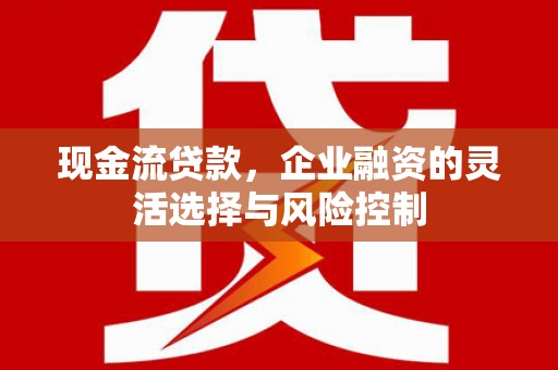 乐东现金流贷款，企业融资的灵活选择与风险控制