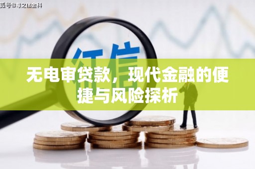乐东无电审贷款，现代金融的便捷与风险探析