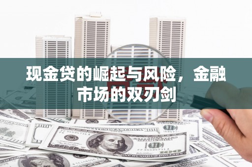 乐东现金贷的崛起与风险，金融市场的双刃剑