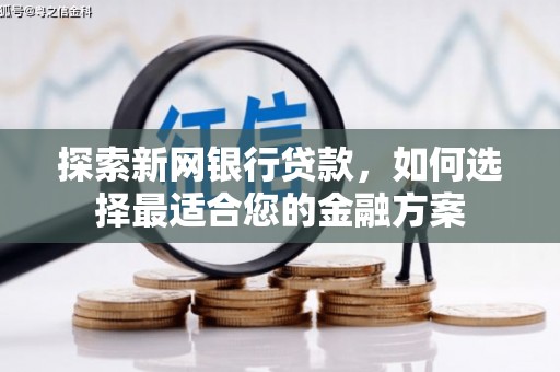 乐东探索新网银行贷款，如何选择最适合您的金融方案