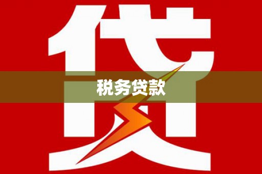 乐东税务贷款