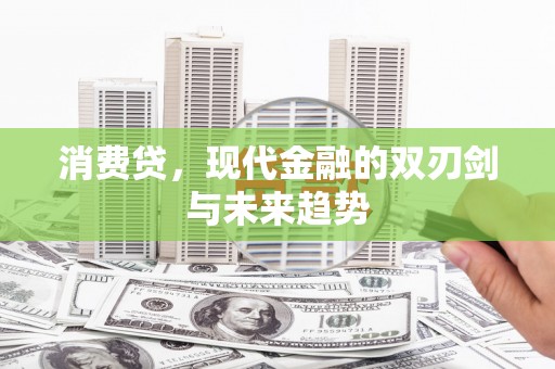 乐东消费贷，现代金融的双刃剑与未来趋势