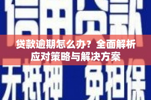 乐东贷款逾期怎么办？全面解析应对策略与解决方案