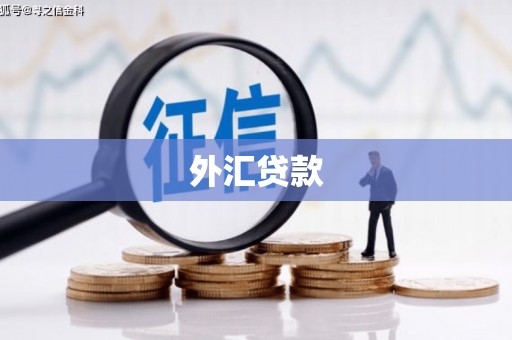乐东外汇贷款