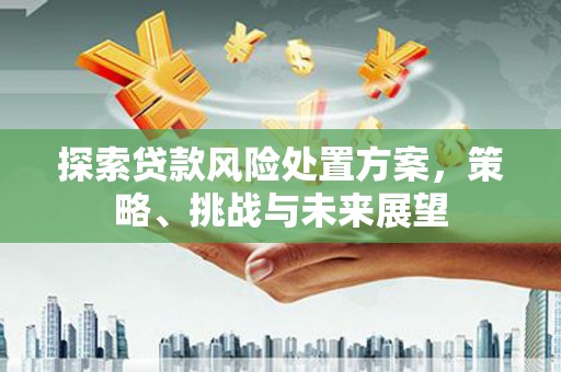 乐东探索贷款风险处置方案，策略、挑战与未来展望