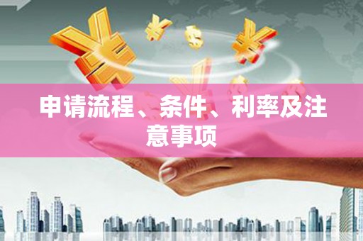 乐东申请流程、条件、利率及注意事项